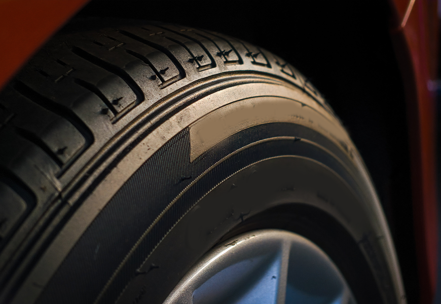 Proin faucibus massa tristique